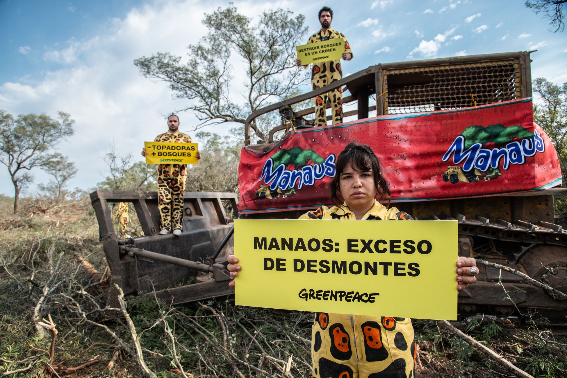 Activistas de Greenpeace bloquearon topadoras en un enorme desmonte de Manaos