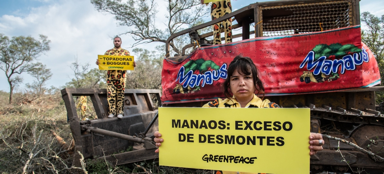 Activistas de Greenpeace bloquearon topadoras en un enorme desmonte de Manaos