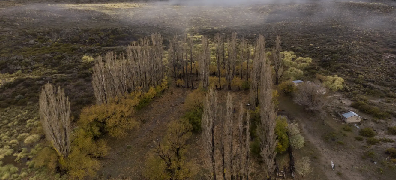 (((video))) Ley de Tierras en Río Negro: un paso firme hacia el futuro sostenible