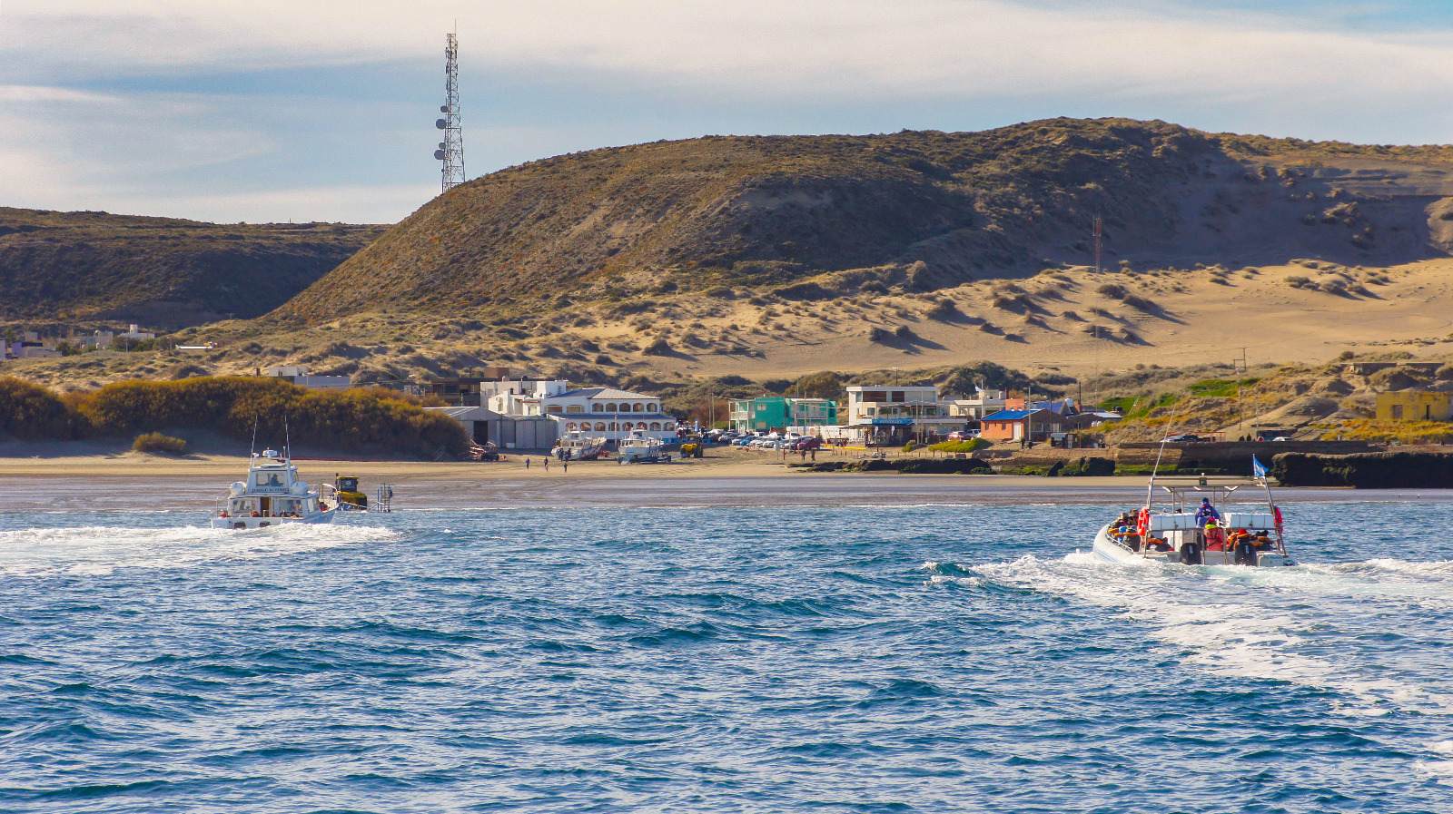 Chubut: se aprobó en Península Valdés el servicio de cabalgatas