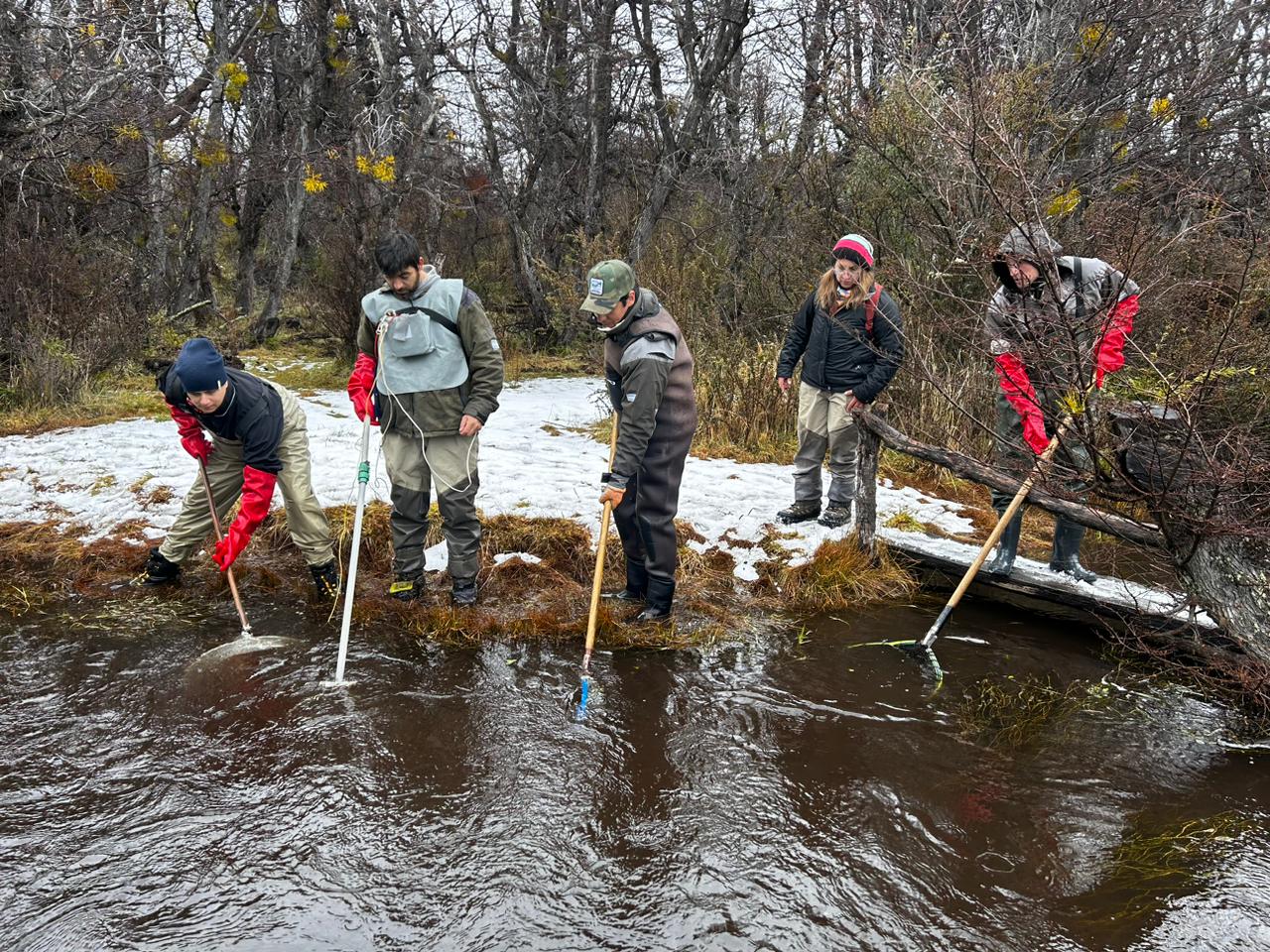 Chubut realiza campaña de desove en ambientes acuáticos de la cordillera