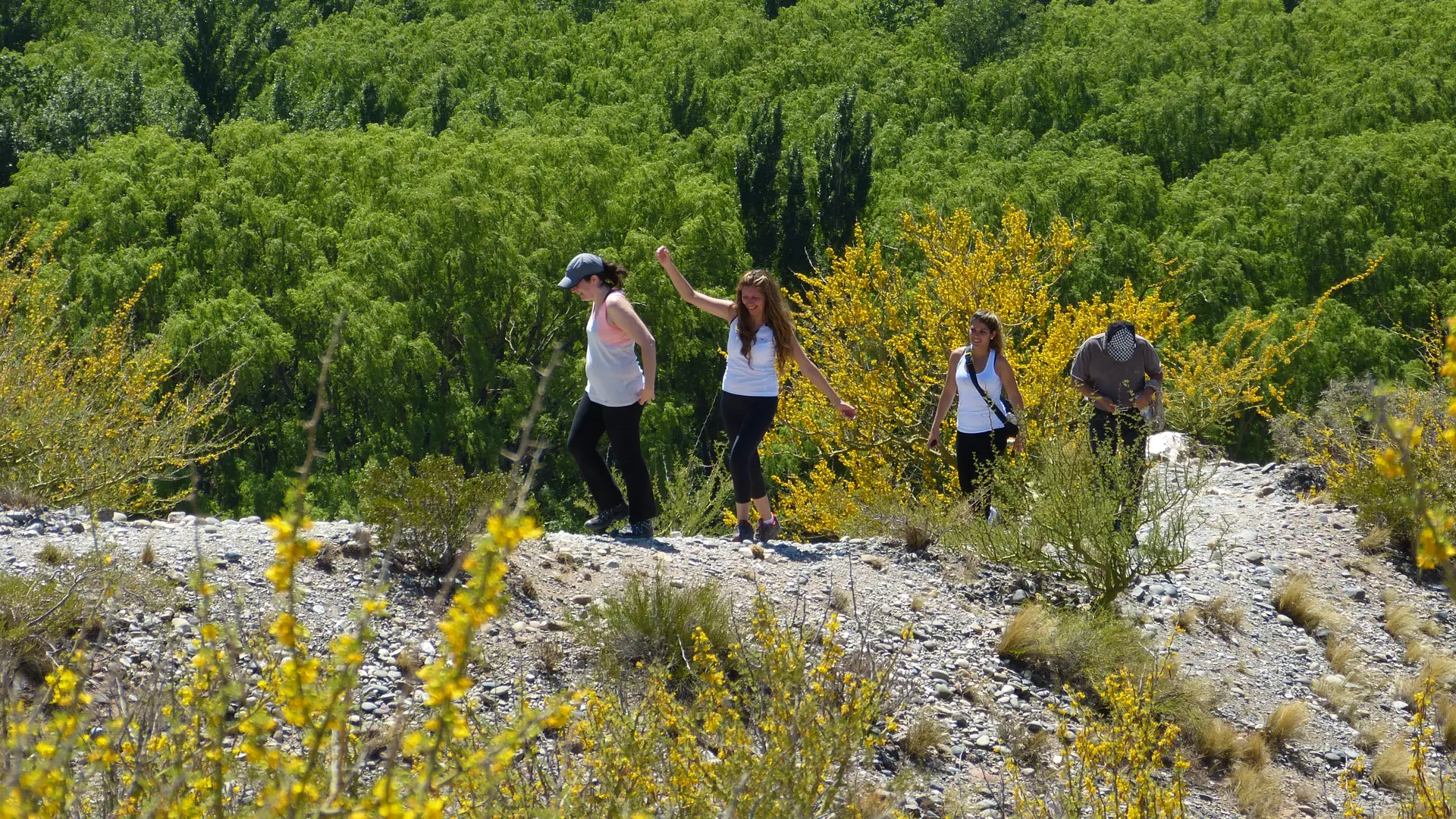 (((video))) Vacaciones seguras en Río Negro: la importancia de contratar servicios habilitados