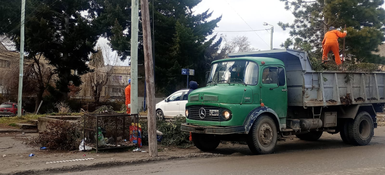 Bariloche: servicio recolector de residuos forestales domiciliarios