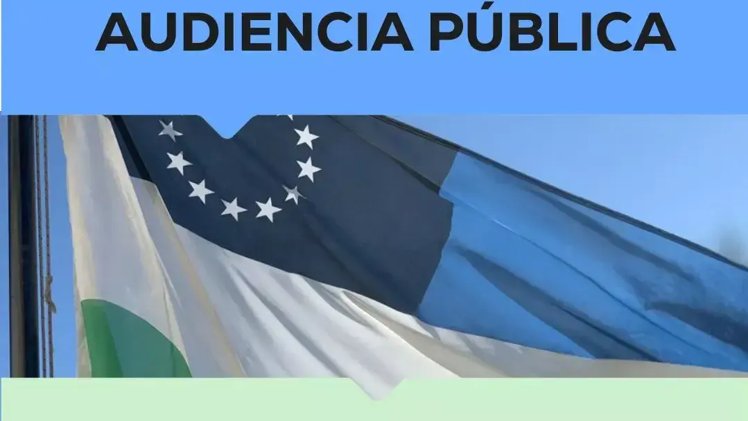 Consideraciones importantes sobre la audiencia por proyecto Calcatreu