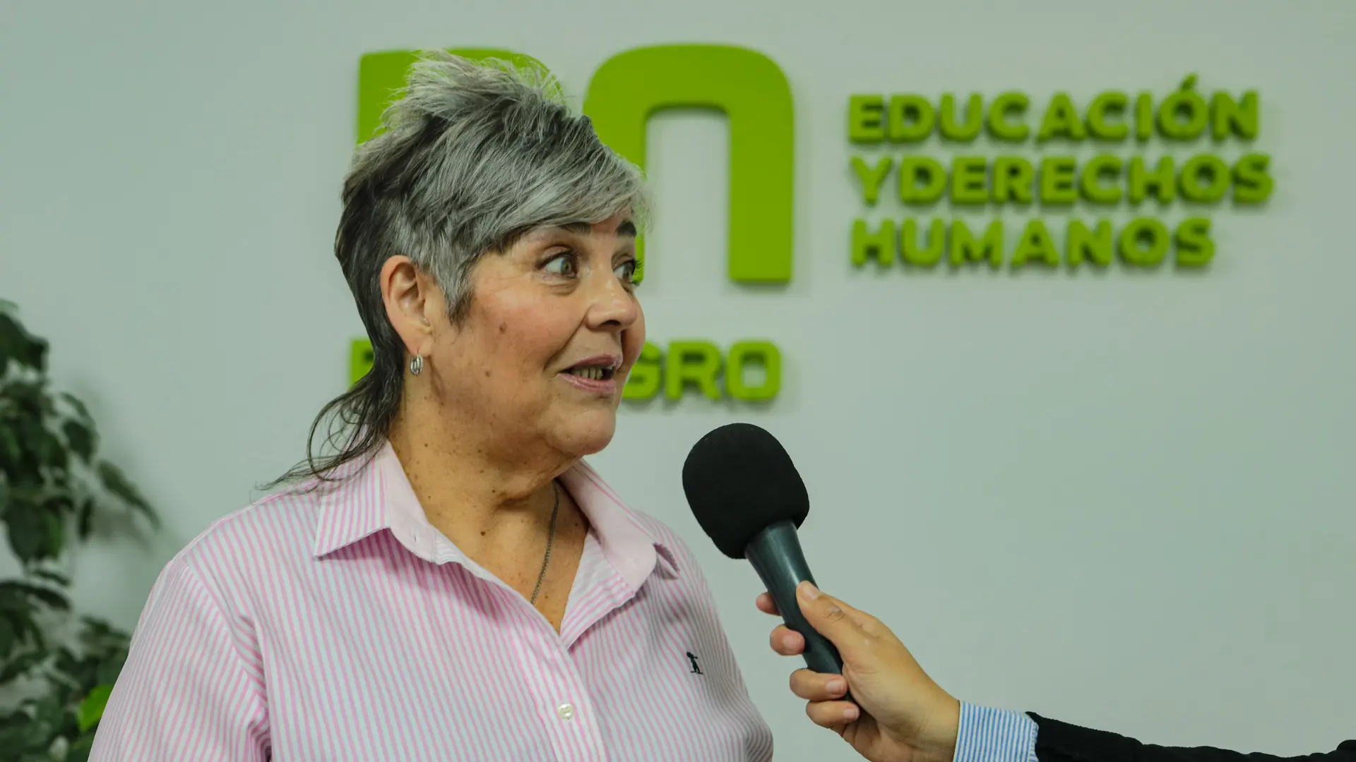 (((video))) Nueva Ley de Educación: sondeo de preocupaciones en Río Negro