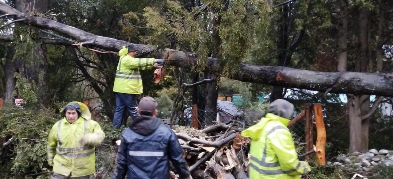 Intervenciones en Bariloche por emergencias durante el domingo