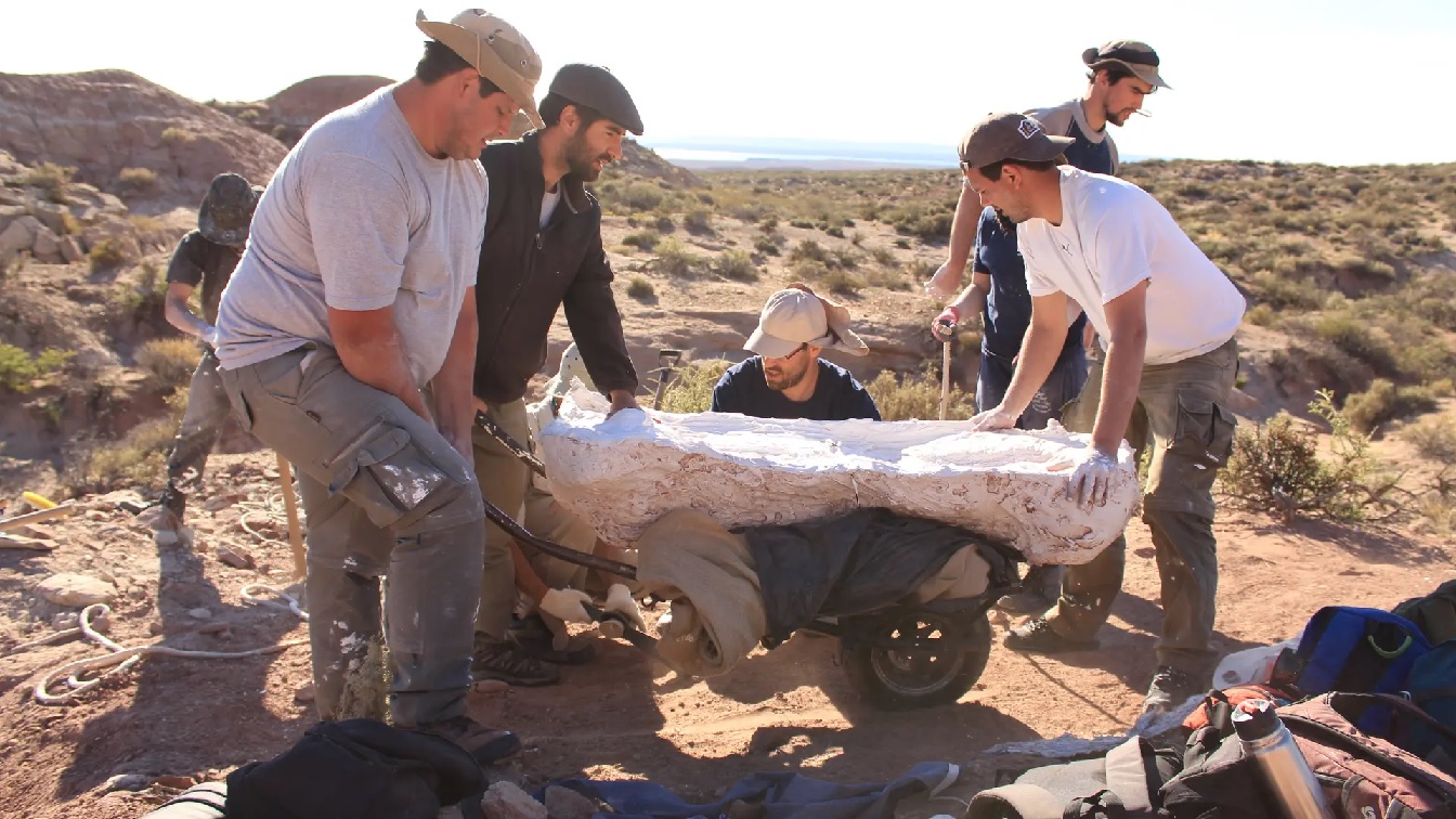 Descubren fósiles de un dinosaurio carnívoro gigante en Río Negro