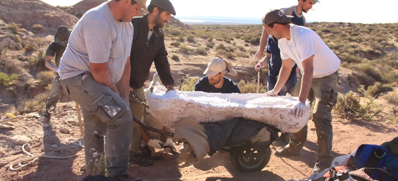 Descubren fósiles de un dinosaurio carnívoro gigante en Río Negro