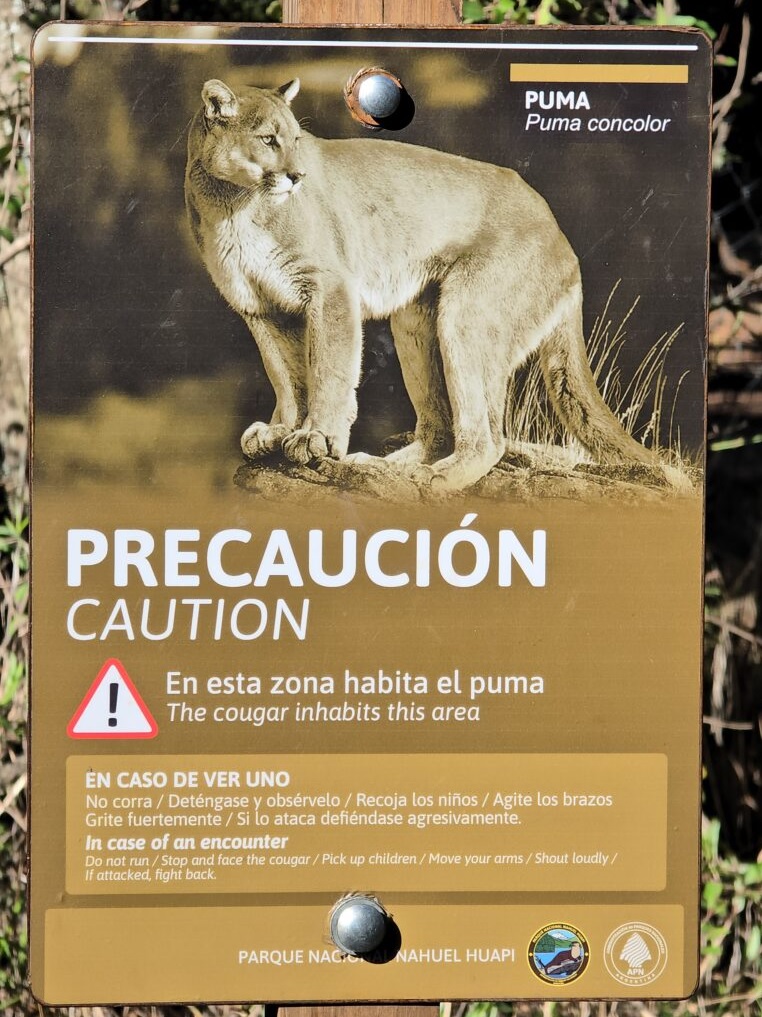 Encuentros con fauna nativa en el Parque Nacional Nahuel Huapi