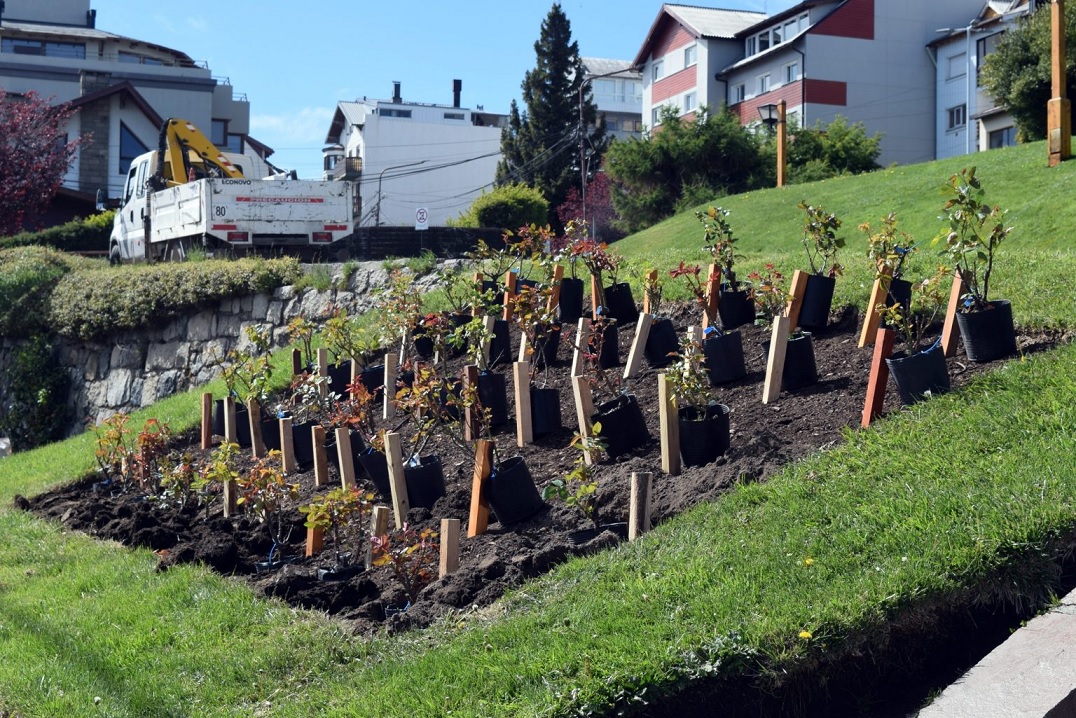 Bariloche: El Municipio recibió una donación de plantas por parte de la AEGHB