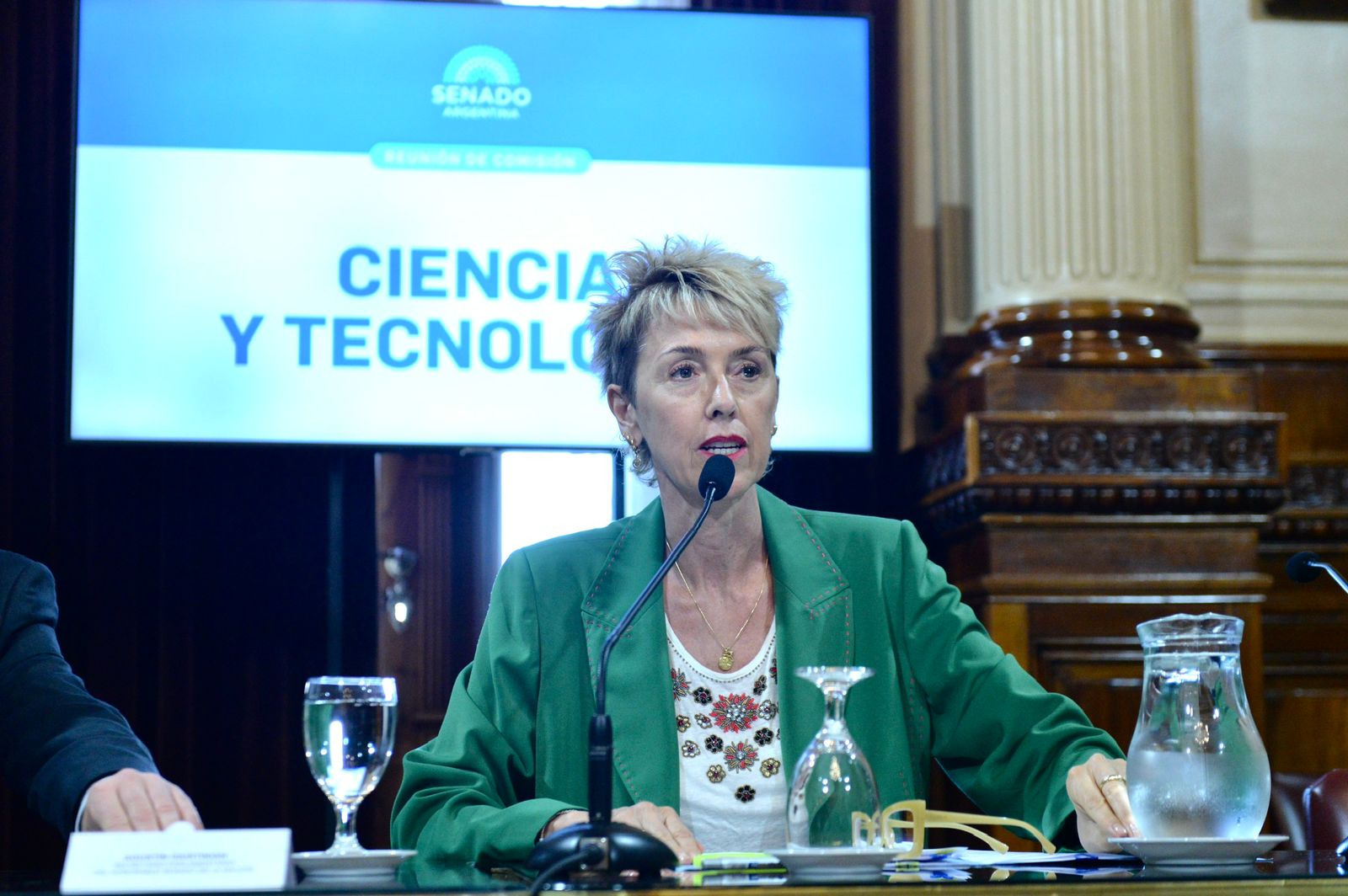 (((video))) García Larraburu fue elegida Presidenta de la Comisión de Ciencia y Tecnología del Senado