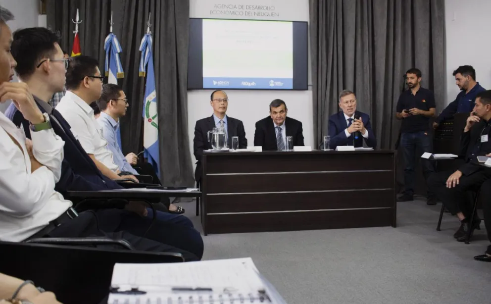 Neuquén construye agenda de producción con China