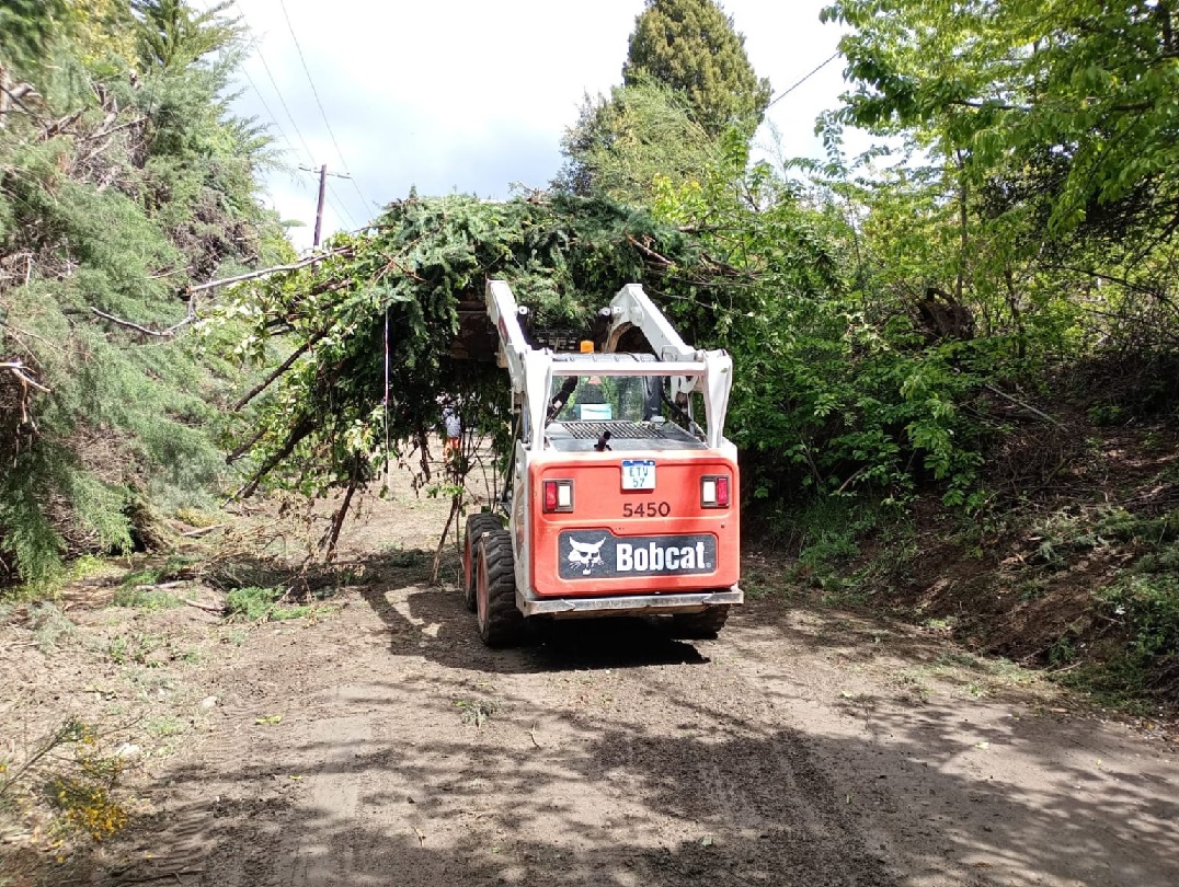 Bariloche: Delegacion Lago Moreno trabajó en conjunto a la CEB en poda preventiva