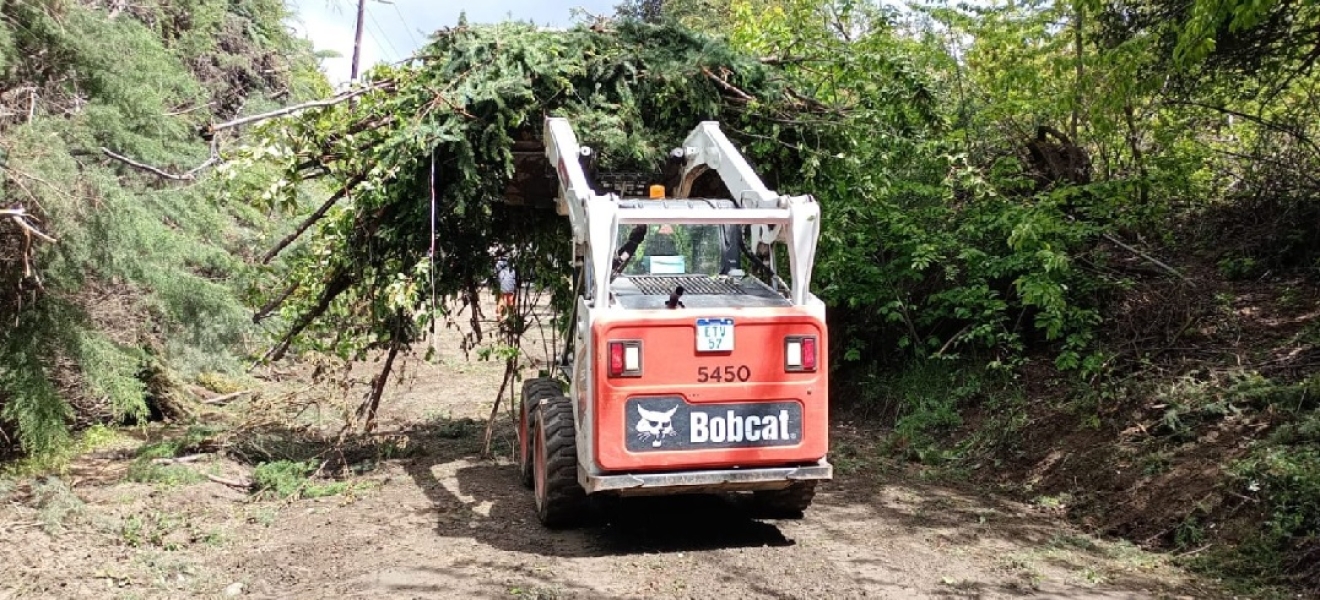 Bariloche: Delegacion Lago Moreno trabajó en conjunto a la CEB en poda preventiva