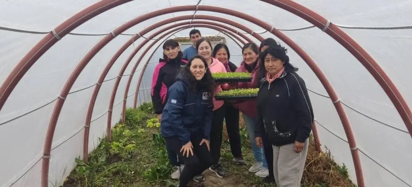 Invernaderos, una política pública que fortalece la economía familiar en Rio Negro