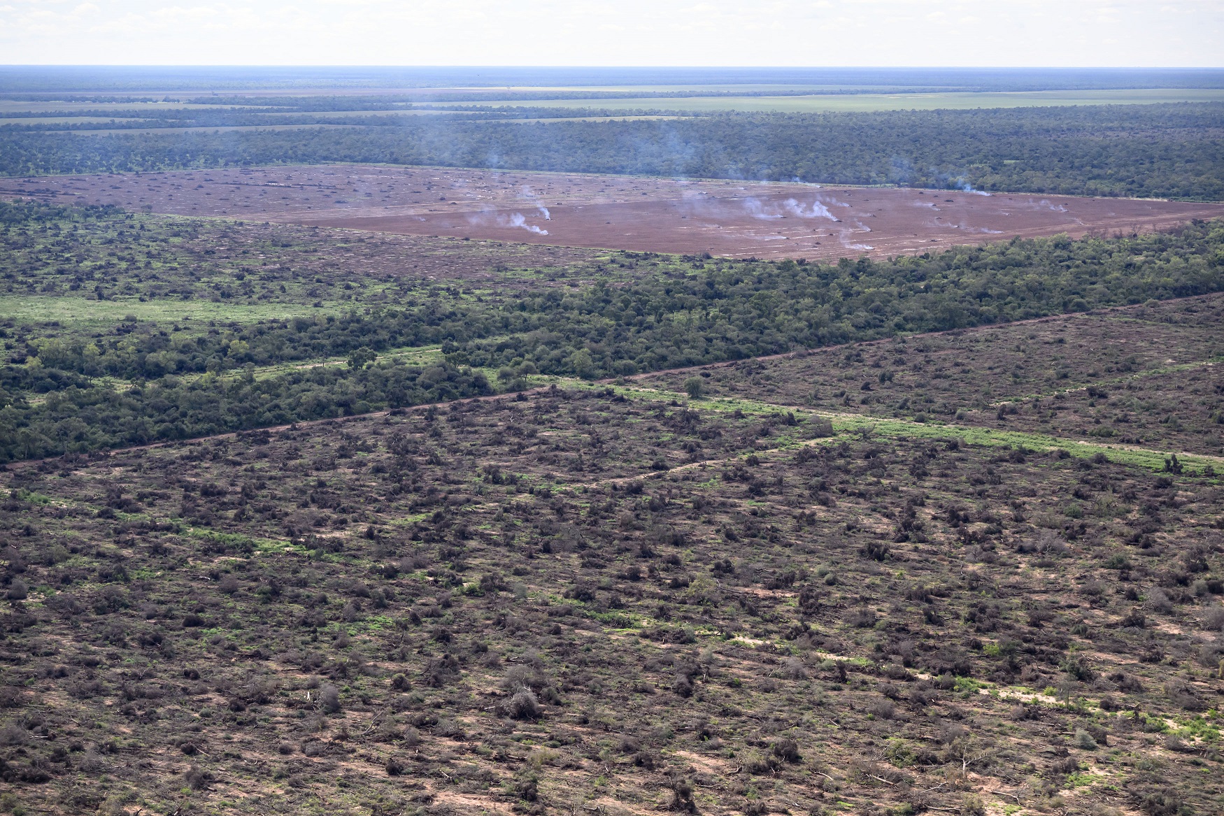 Los desmontes en el norte del país superaron las 100.000 hectáreas en lo que va del año