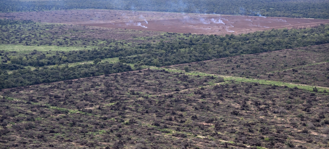 Los desmontes en el norte del país superaron las 100.000 hectáreas en lo que va del año