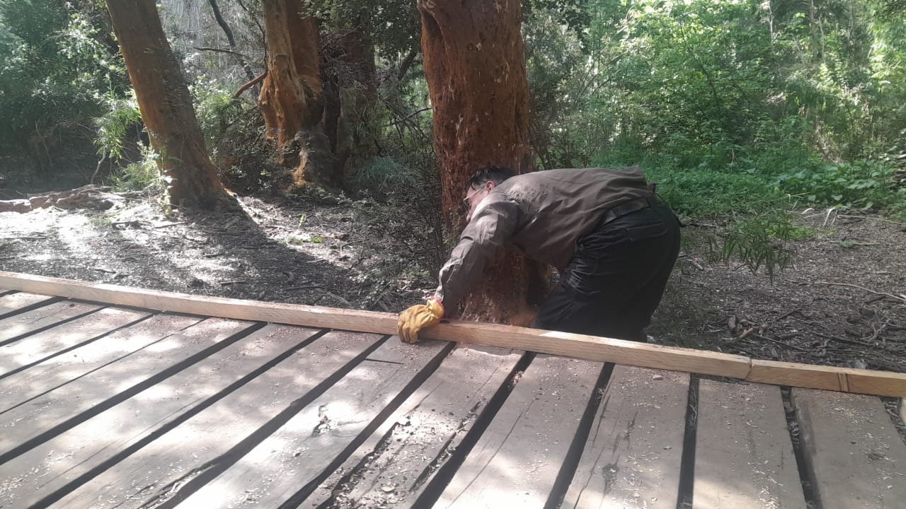 Avanzan las obras del primer sendero accesible en Bariloche