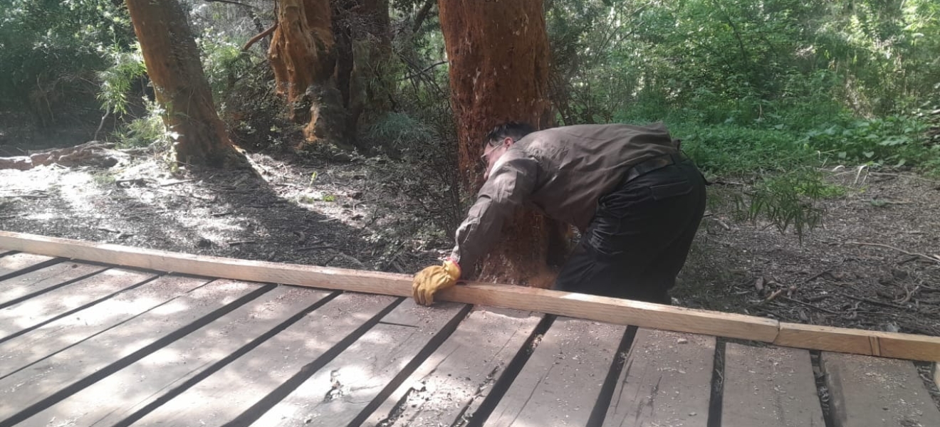 Avanzan las obras del primer sendero accesible en Bariloche