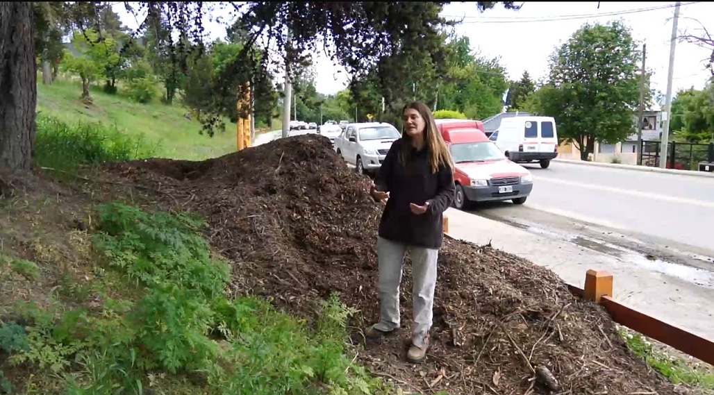 Chips de madera en diferentes puntos de acceso público en Bariloche