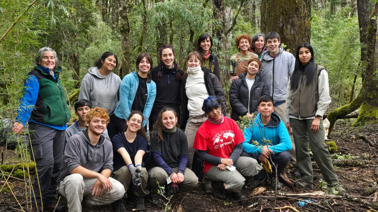 Bariloche: control de especies exóticas invasoras en Puerto Blest