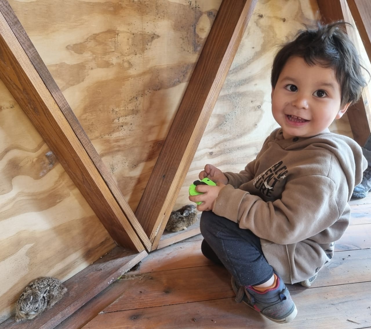 Buscan a un niño desaparecido en una zona rural al sur de Bariloche