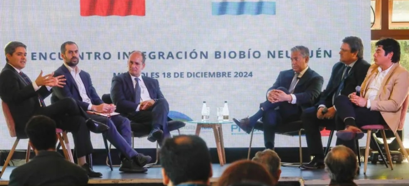 Gobernador de Neuquén en Chile: La integración es la clave para crecer juntos 