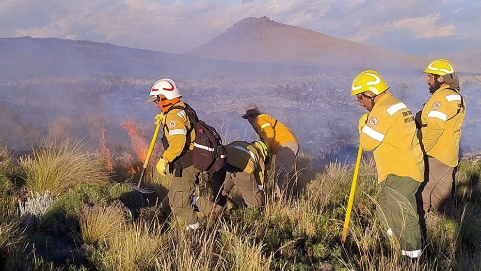 Brigadistas sumarán apoyo aéreo para combatir focos activos en Neuquén