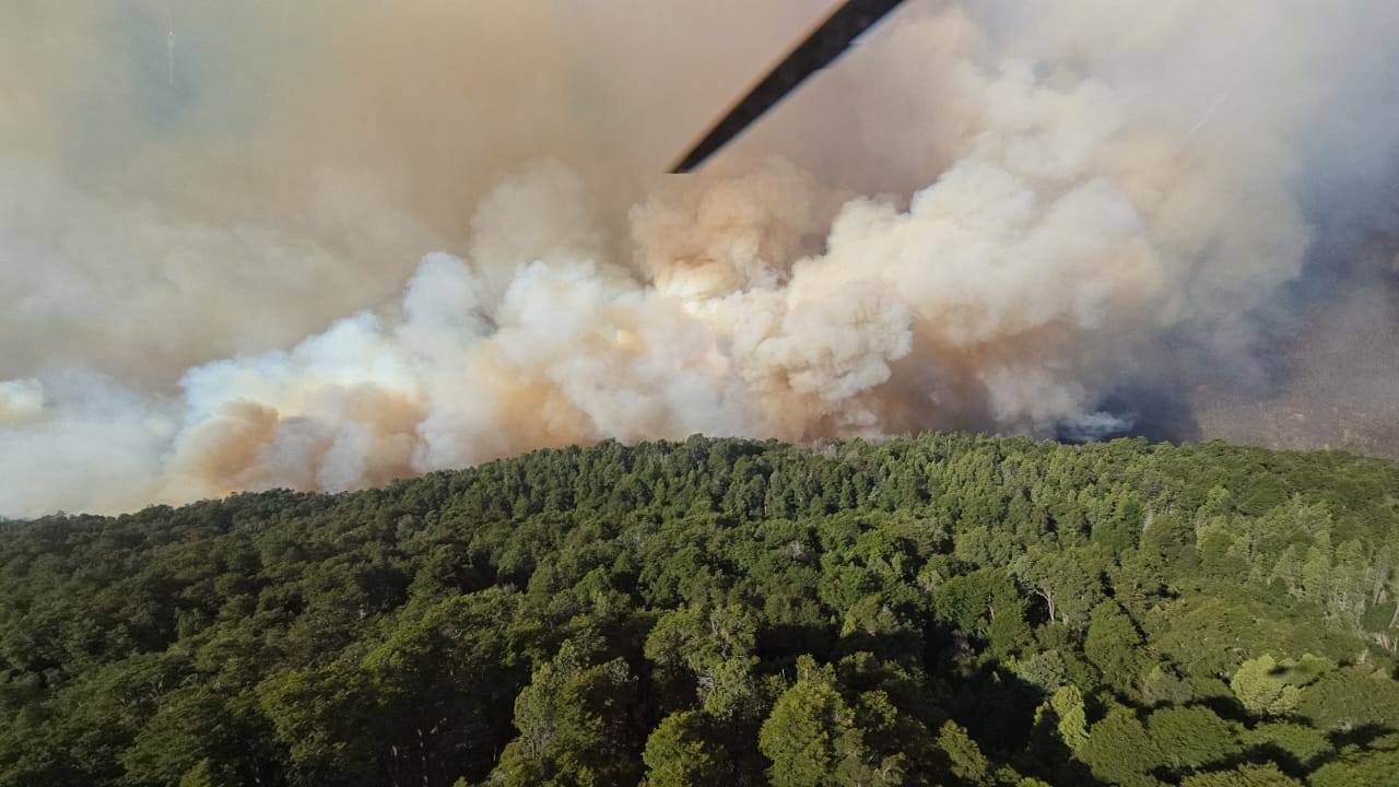 Incendio Los Manzanos, en la zona sur del Parque Nacional Nahuel Huapi