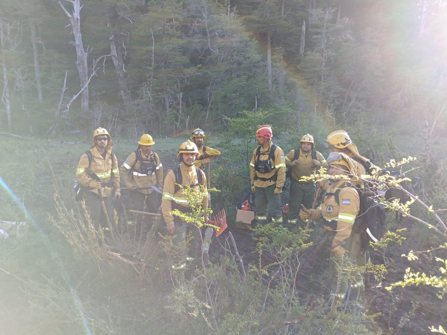 Incendio Los Manzanos: con las altas temperaturas comenzaron a activarse diversos sectores