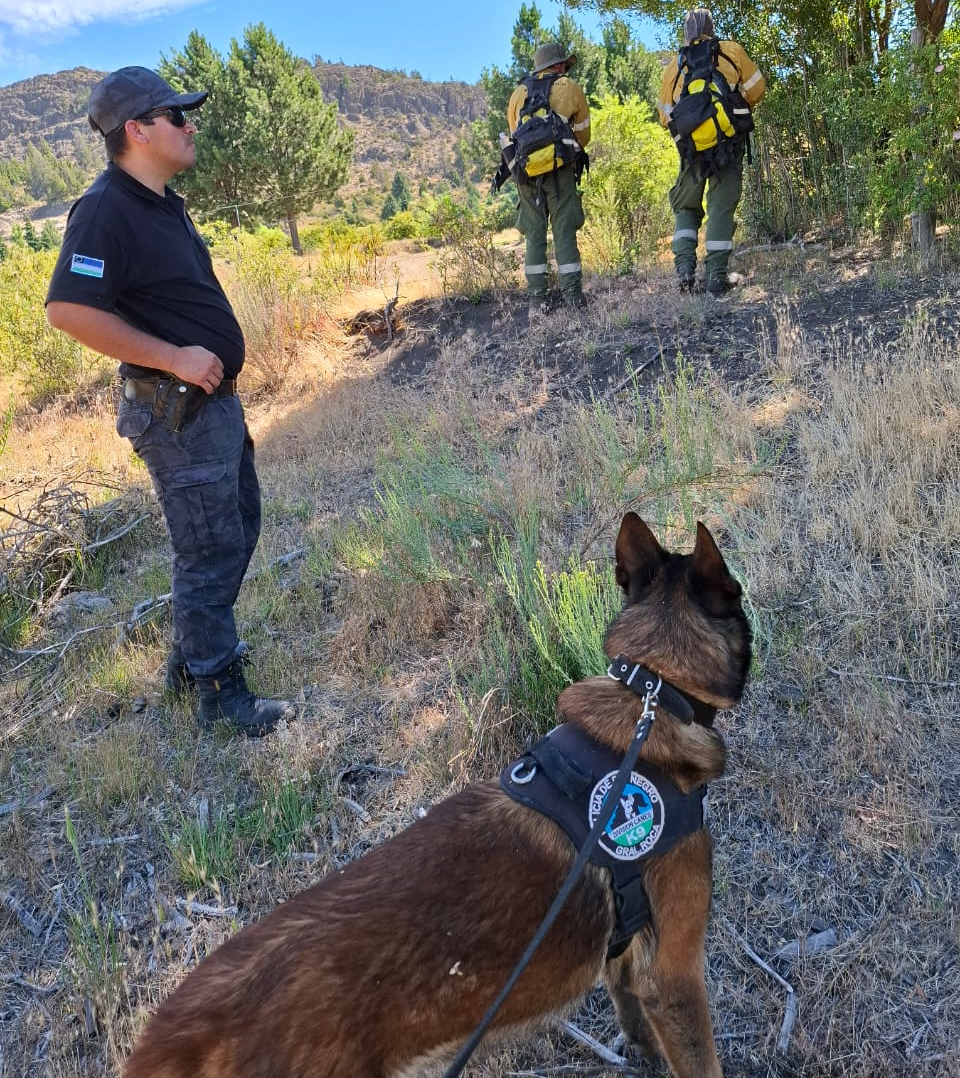 En Bariloche y la zona continúa la búsqueda de Efraín Salazar de 84 años