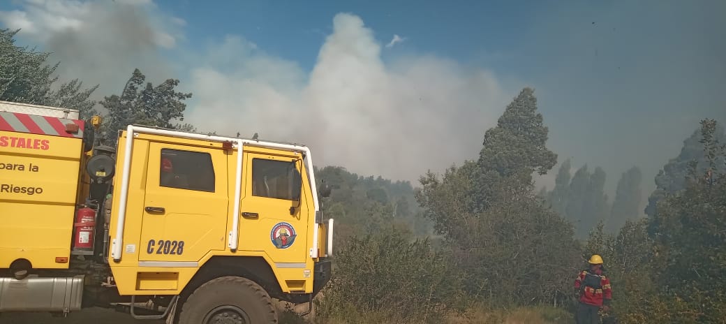 Chubut: incendio en la zona de Los Cipreses, a pocos kilómetros de Trevelin