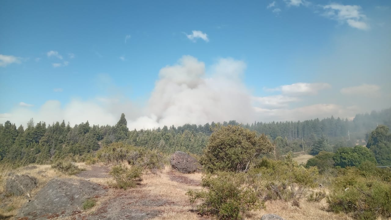 Chubut continúa con un amplio operativo para controlar el incendio en la zona de Los Cipreses