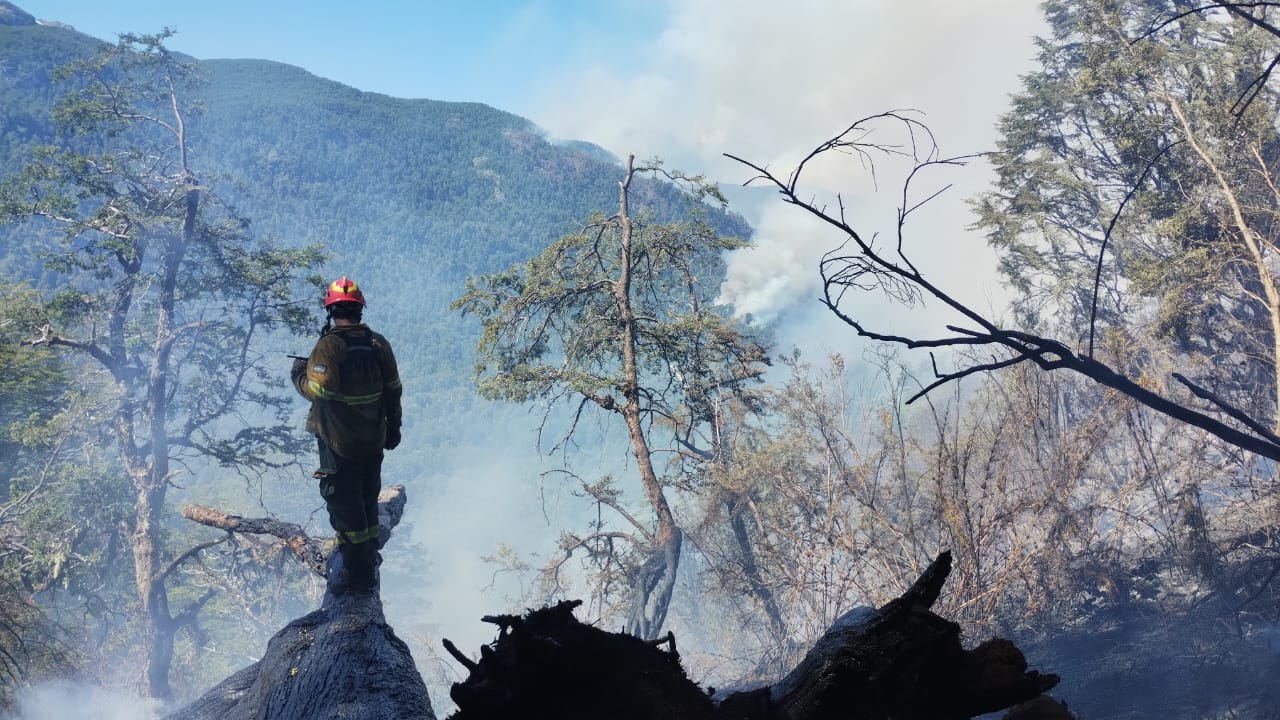 El área afectada por el incendio en Los Manzanos alcanza las 4199 hectáreas