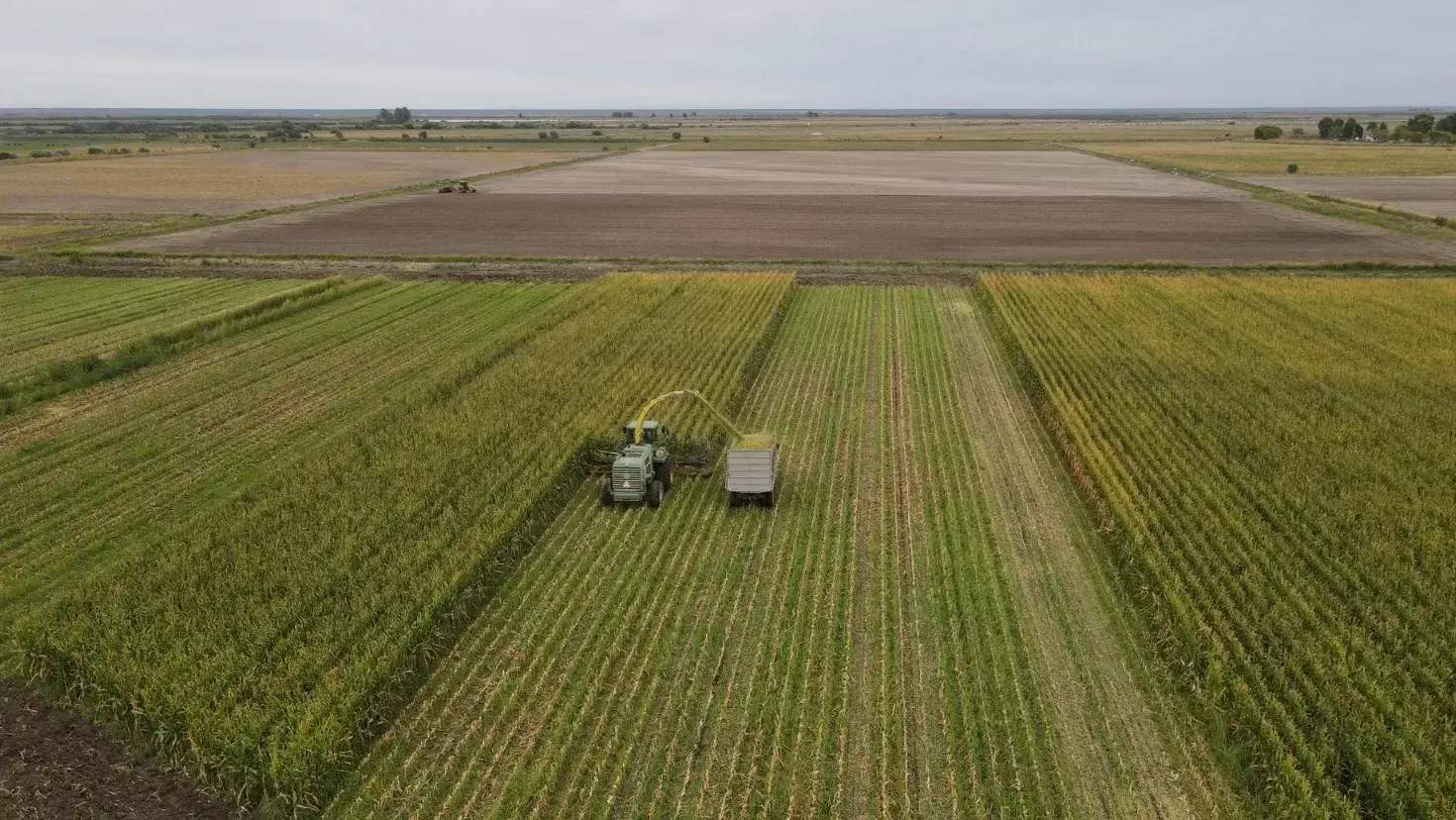 (((video))) La agricultura aportó U$S 150 millones a la economía rionegrina en 2024