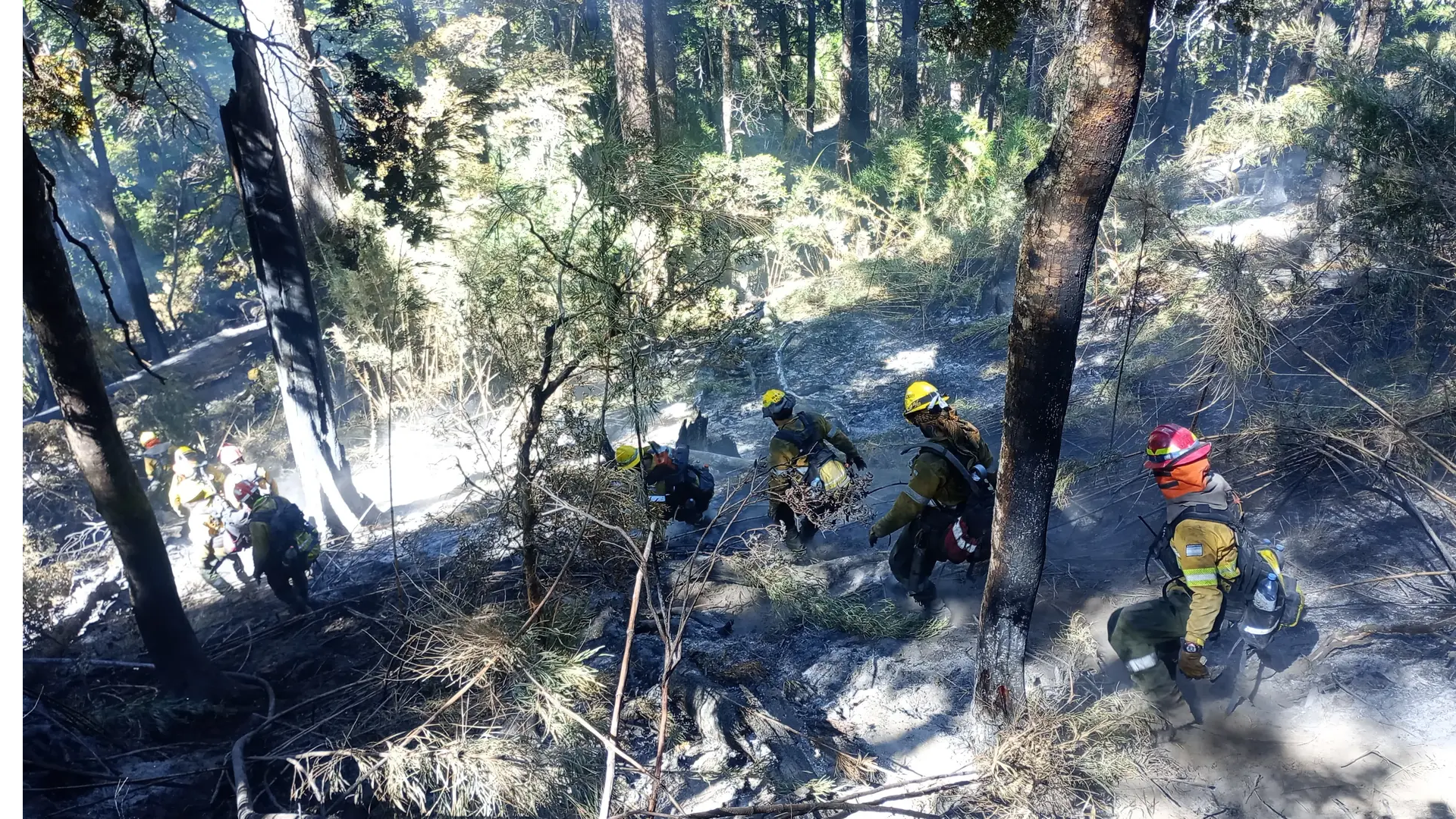 Incendio en Los Manzanos: un trabajo constante en condiciones adversas