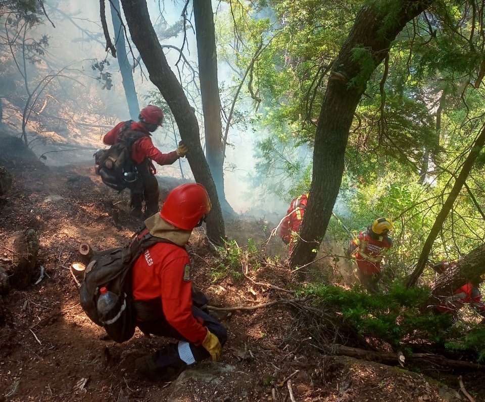 Se logró contener sectores del incendio en Epuyén