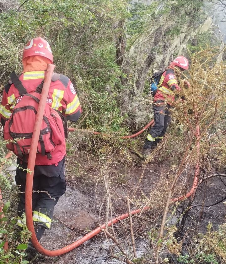 Chubut: amplio despliegue para controlar los incendios en Epuyén y Atilio Viglione