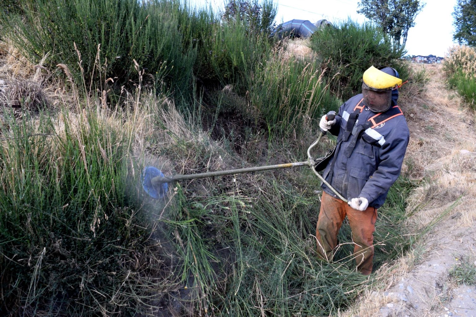 Continúa la limpieza y mejoramiento de espacios en Bariloche