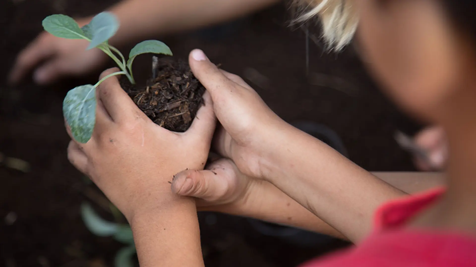 Río Negro celebra el Día de la Educación Ambiental con compromiso y acción