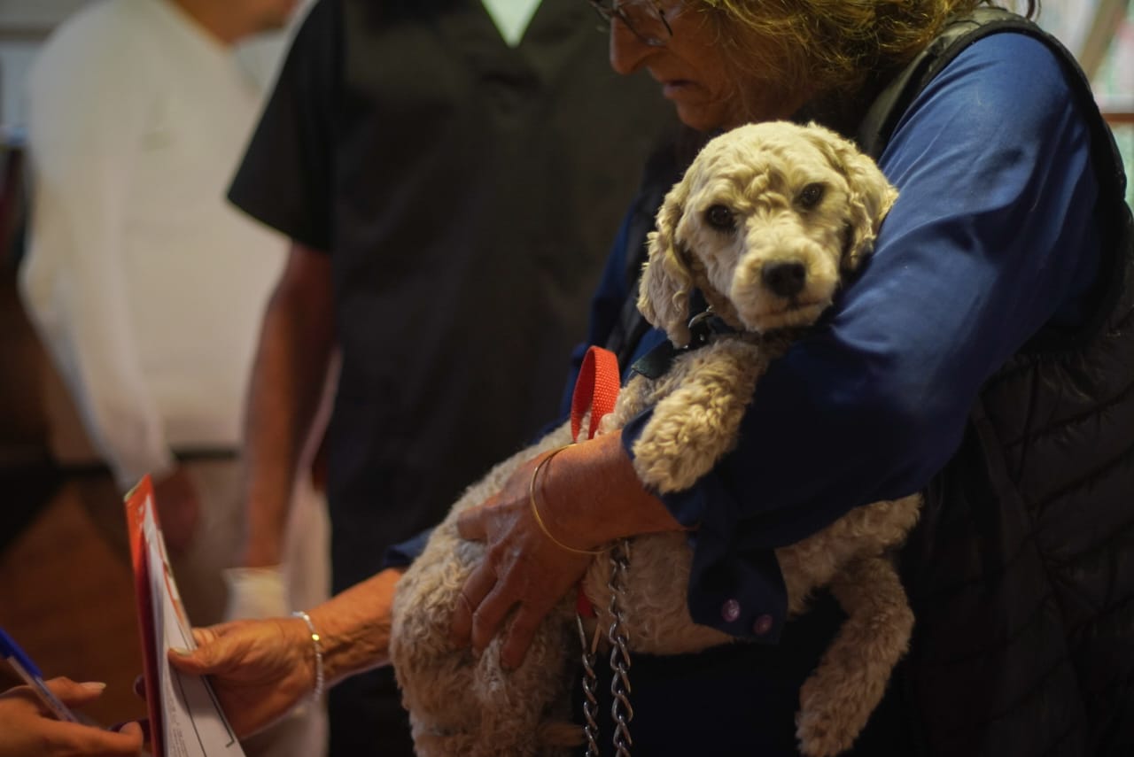 Alertan por estafas en nombre de Sanidad Animal Bariloche