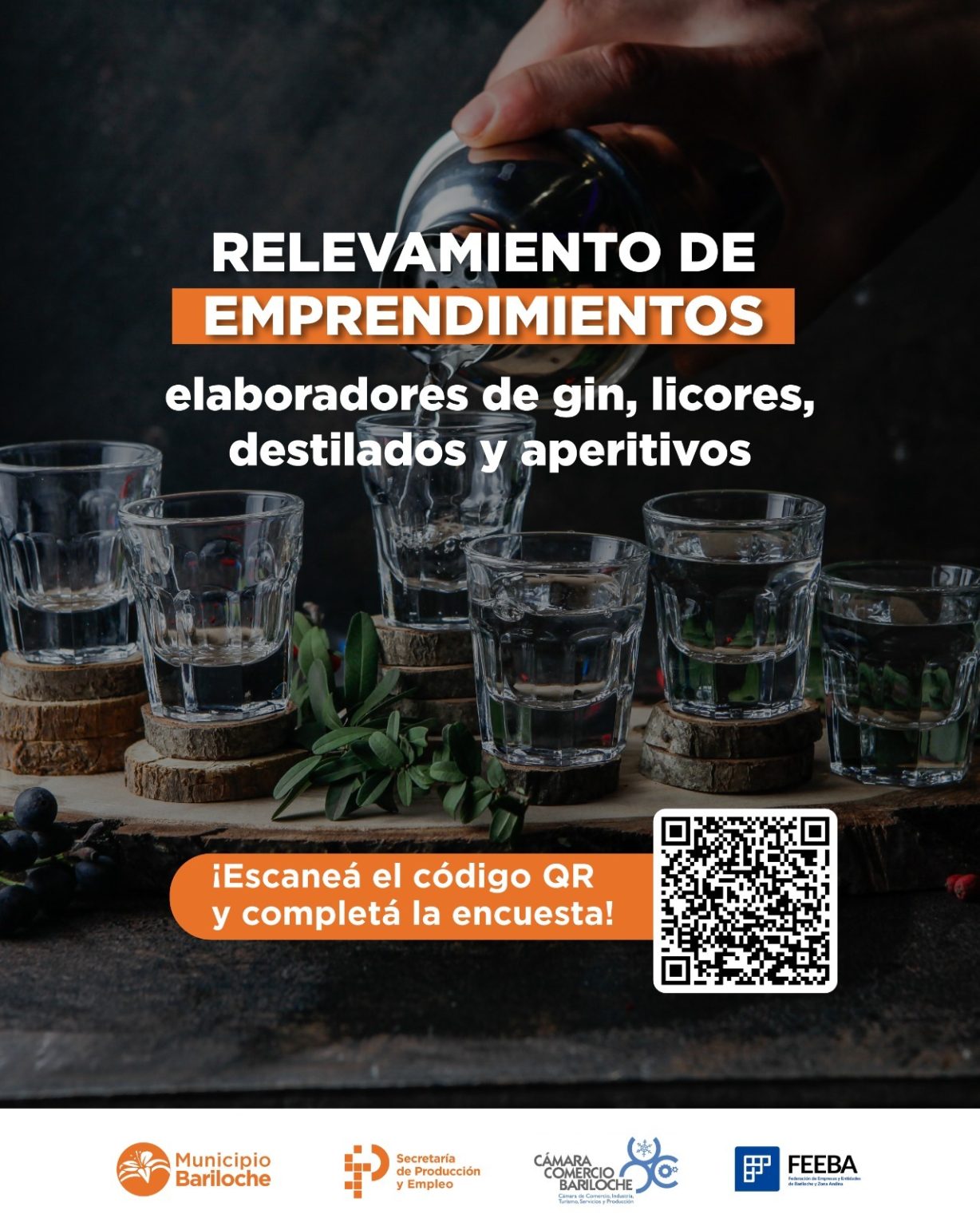 Relevamiento de emprendimientos de gin, licores, destilados y aperitivos en la Patagonia