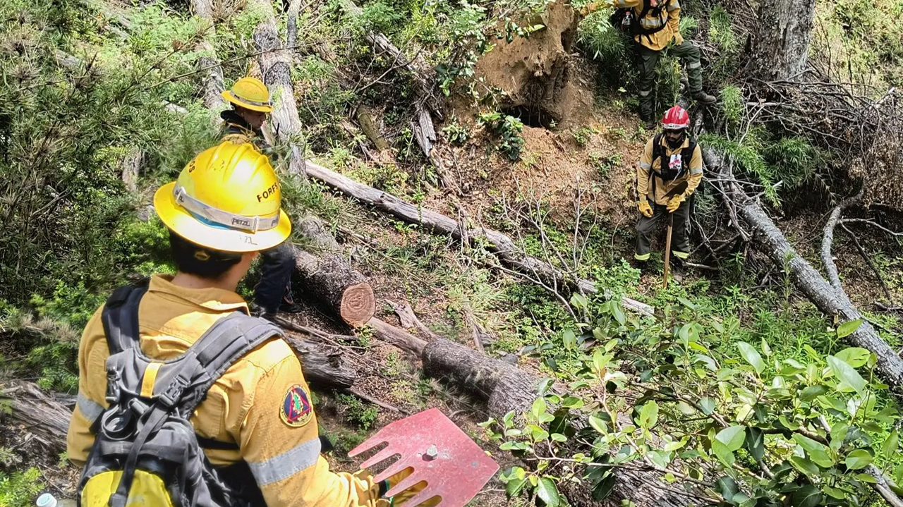 Incendio Confluencia: el SPLIF trabaja en la zona