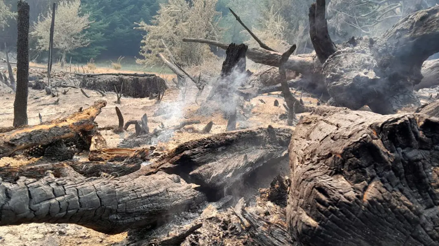 Emergencia Social y Económica en El Bolsón y zonas afectadas por incendios