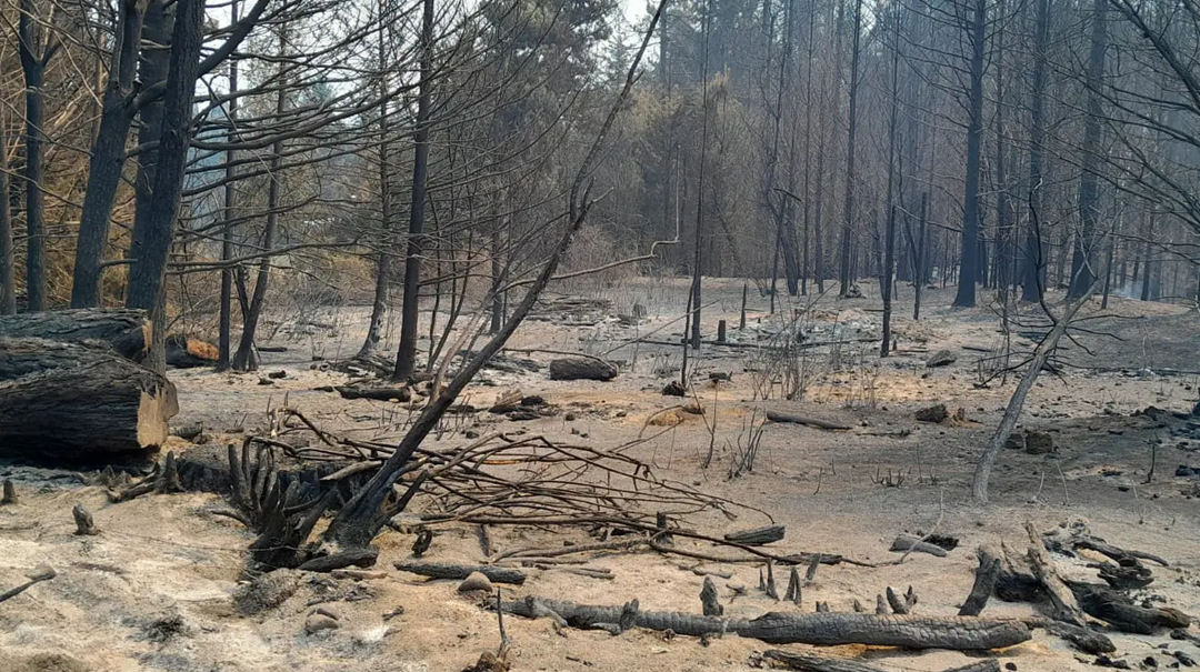 Río Negro declaró el Estado de Emergencia Ígnea