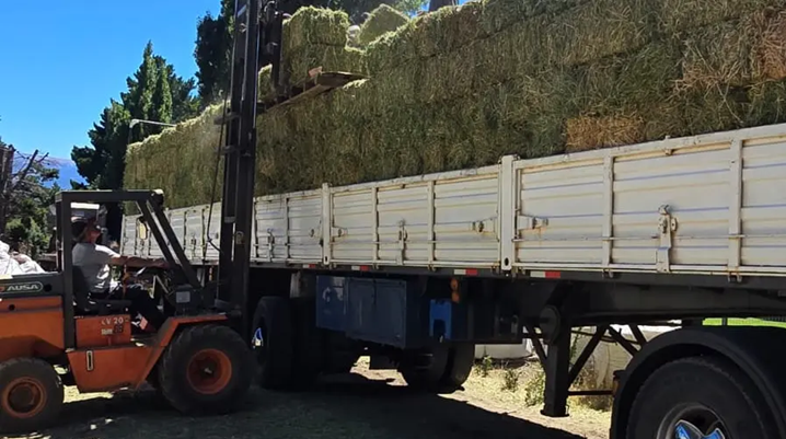 Río Negro asiste con fardos a productores afectados por el incendio