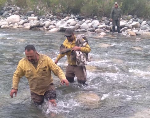 Guardabosques Municipales de Bariloche colaboraron conteniendo el fuego en El Bolsón