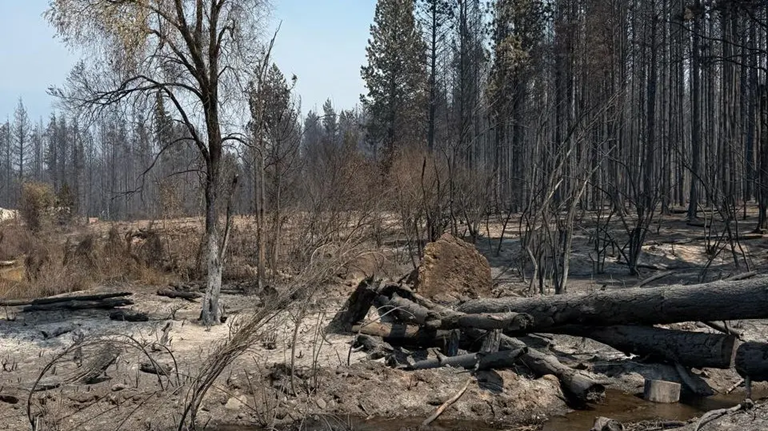 Hallan una botella en un punto de inicio del fuego en El Bolsón