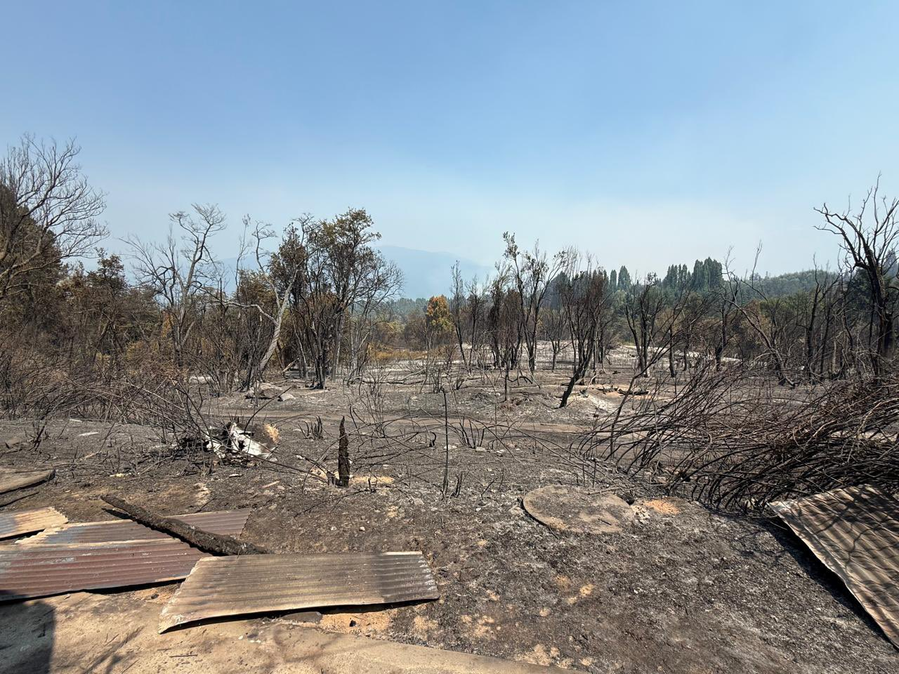 Afectación exclusiva del Fiscal Arrien por los incendios en El Bolsón