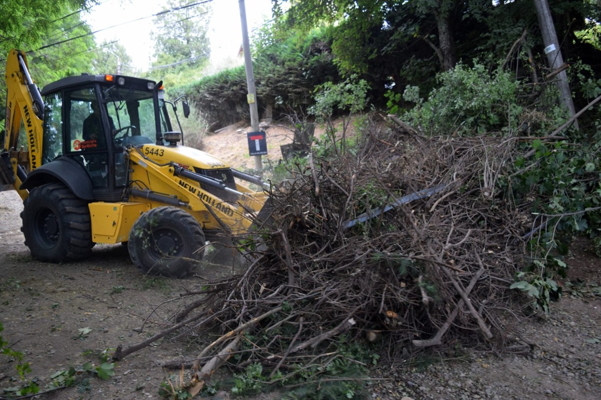 Bariloche: Municipio desmanteló otro microbasural en la ciudad